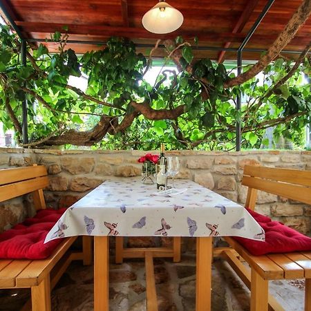 Carla Guest House Novigrad  Zewnętrze zdjęcie