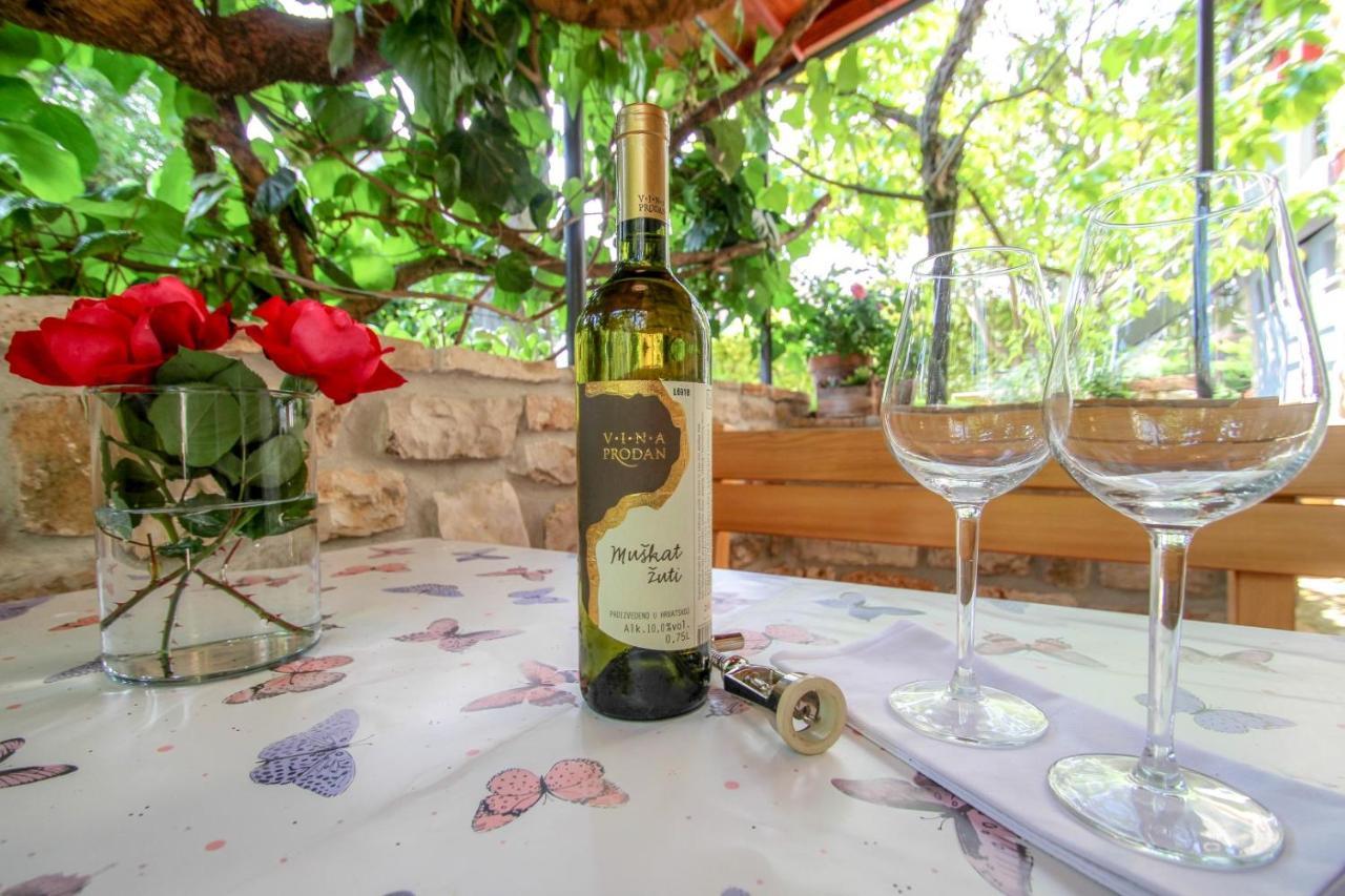 Carla Guest House Novigrad  Zewnętrze zdjęcie